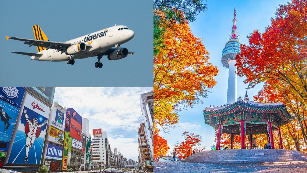 台灣虎航機票「2日快閃」優惠!飛日韓1699元起,春節還有88折優惠碼