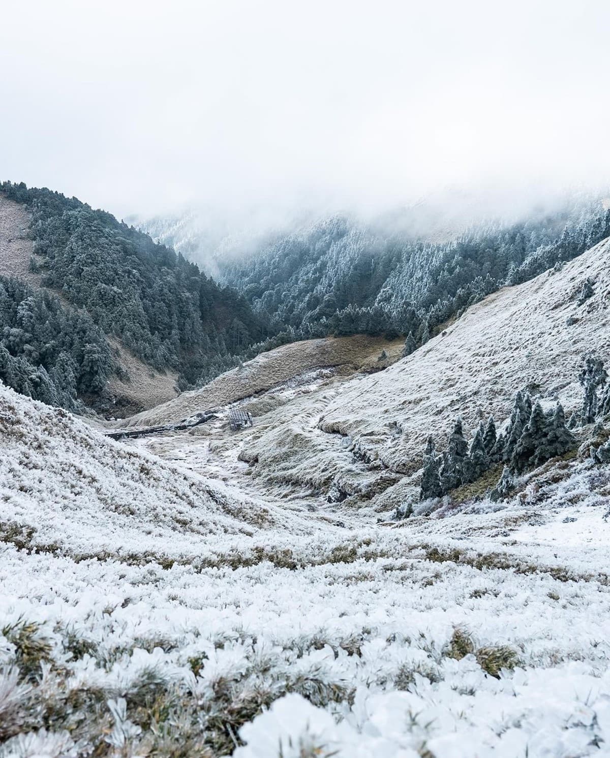 秒飛瑞士看湖光山景!南投祕境民宿腳底就是雲海,運氣好還能看雪 秒飛瑞士看湖光山景!南投祕境民宿腳底就是雲海,運氣好還能看雪