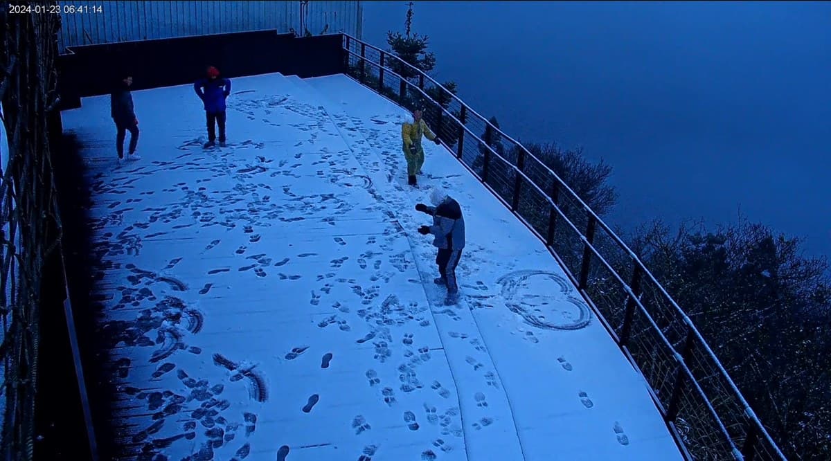 即時雪況報你知!2024全台7處下雪景點:亞洲最大神木園、三峽茶園祕境 即時雪況報你知!2024全台7處下雪景點:亞洲最大神木園、三峽茶園祕境