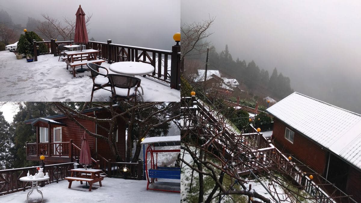 即時雪況報你知!2024全台7處下雪景點:亞洲最大神木園、三峽茶園祕境 即時雪況報你知!2024全台7處下雪景點:亞洲最大神木園、三峽茶園祕境