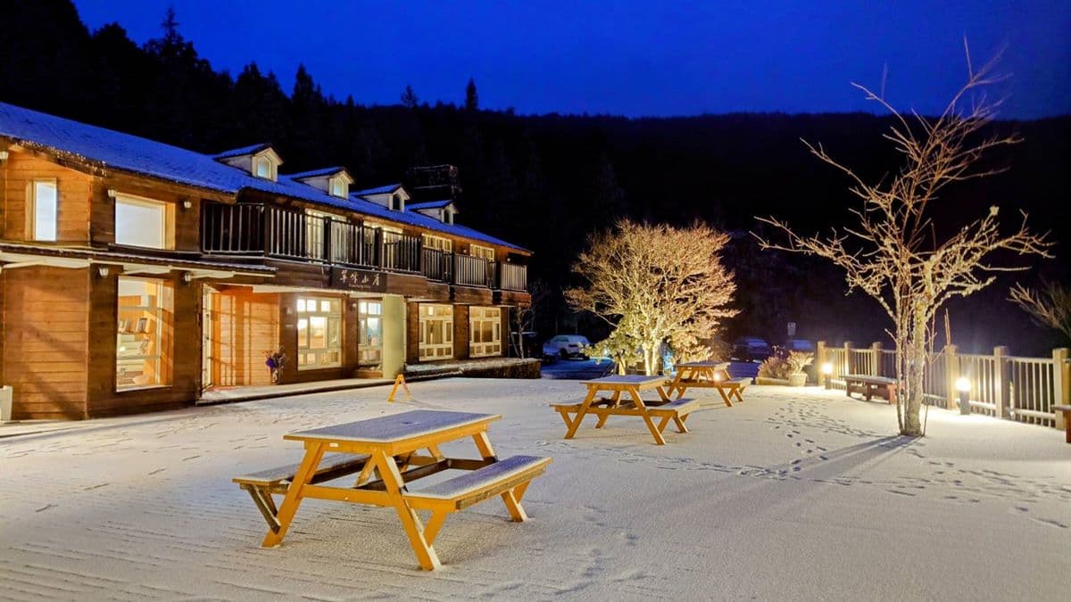 即時雪況報你知!2024全台7處下雪景點:亞洲最大神木園、三峽茶園祕境 即時雪況報你知!2024全台7處下雪景點:亞洲最大神木園、三峽茶園祕境
