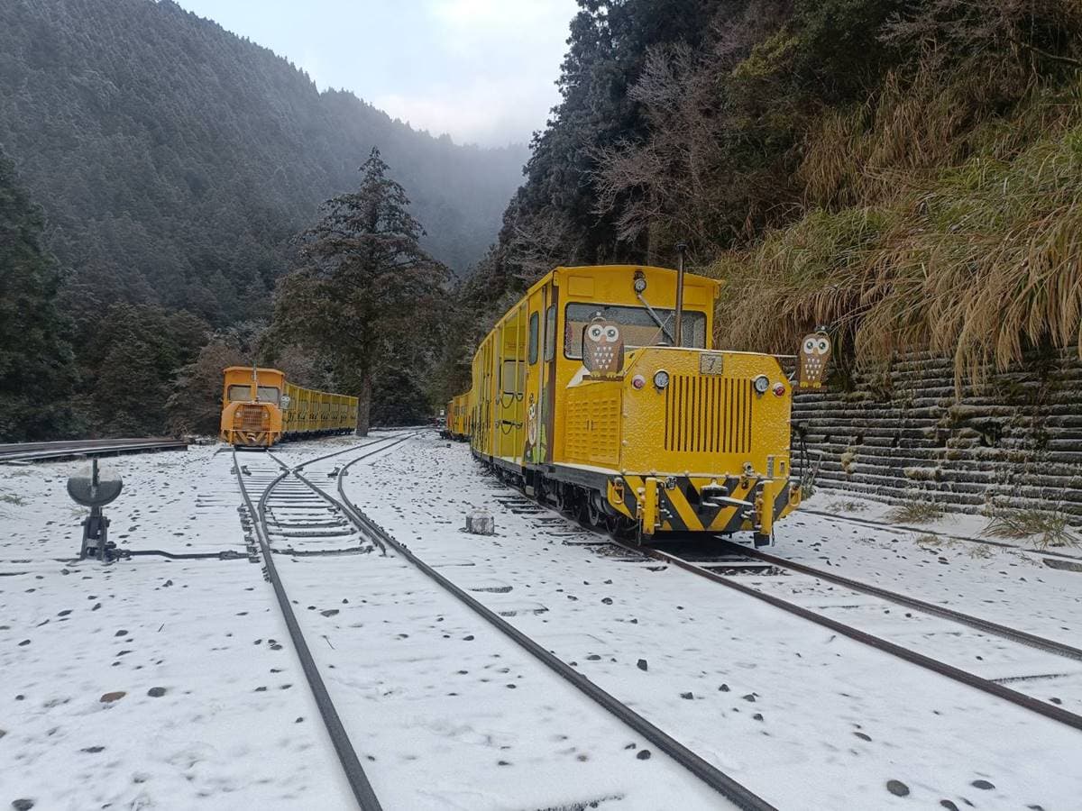 即時雪況報你知!2024全台7處下雪景點:亞洲最大神木園、三峽茶園祕境 即時雪況報你知!2024全台7處下雪景點:亞洲最大神木園、三峽茶園祕境