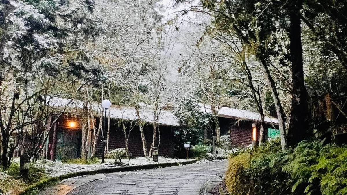 即時雪況報你知!2024全台7處下雪景點:亞洲最大神木園、三峽茶園祕境 即時雪況報你知!2024全台7處下雪景點:亞洲最大神木園、三峽茶園祕境