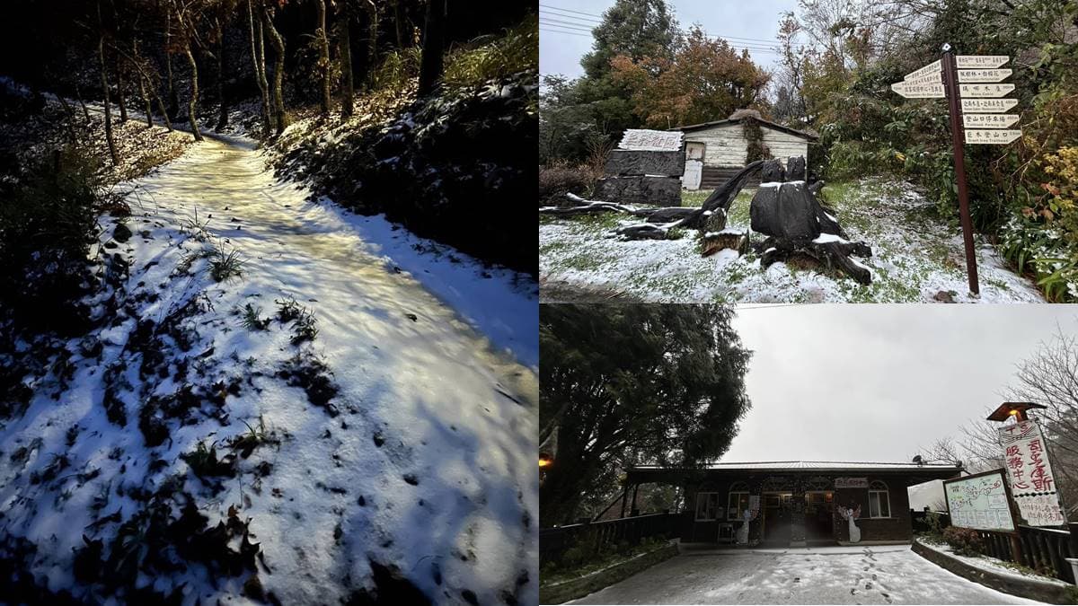 即時雪況報你知!2024全台7處下雪景點:亞洲最大神木園、三峽茶園祕境 即時雪況報你知!2024全台7處下雪景點:亞洲最大神木園、三峽茶園祕境