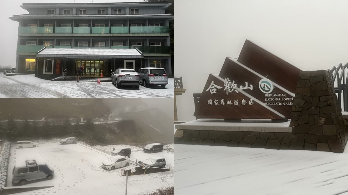即時雪況報你知!2024全台7處下雪景點:亞洲最大神木園、三峽茶園祕境 即時雪況報你知!2024全台7處下雪景點:亞洲最大神木園、三峽茶園祕境