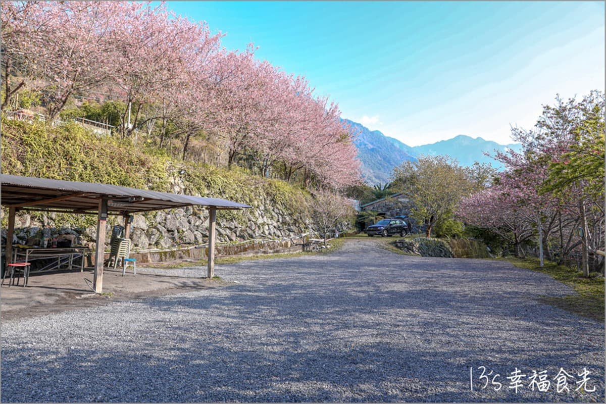 南投信義櫻花祕境「溫泉露營區」!泡湯賞花加野餐,仙女美拍點報你知 南投信義櫻花祕境「溫泉露營區」!泡湯賞花加野餐,仙女美拍點報你知