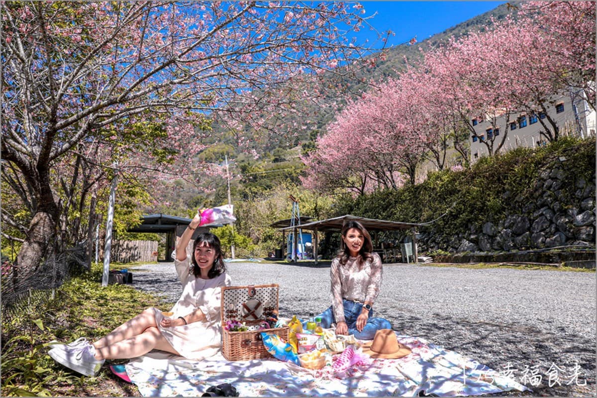 南投信義櫻花祕境「溫泉露營區」!泡湯賞花加野餐,仙女美拍點報你知 南投信義櫻花祕境「溫泉露營區」!泡湯賞花加野餐,仙女美拍點報你知