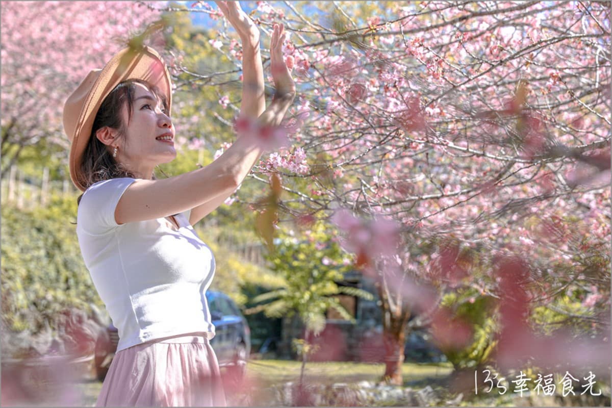 南投信義櫻花祕境「溫泉露營區」!泡湯賞花加野餐,仙女美拍點報你知 南投信義櫻花祕境「溫泉露營區」!泡湯賞花加野餐,仙女美拍點報你知