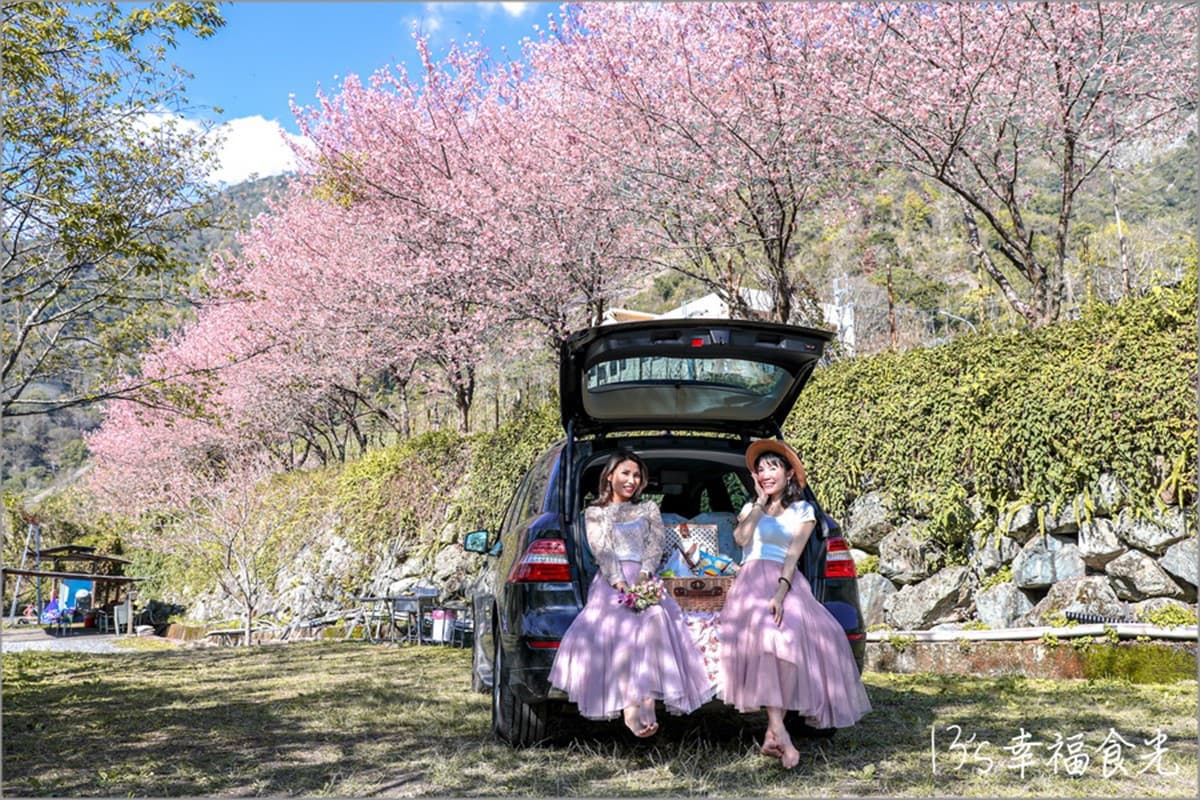 南投信義櫻花祕境「溫泉露營區」!泡湯賞花加野餐,仙女美拍點報你知 南投信義櫻花祕境「溫泉露營區」!泡湯賞花加野餐,仙女美拍點報你知