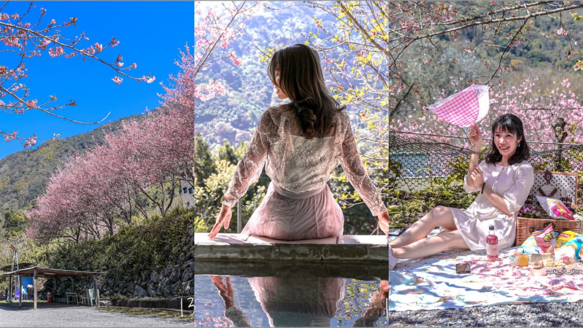 南投信義櫻花祕境「溫泉露營區」!泡湯賞花加野餐,仙女美拍點報你知