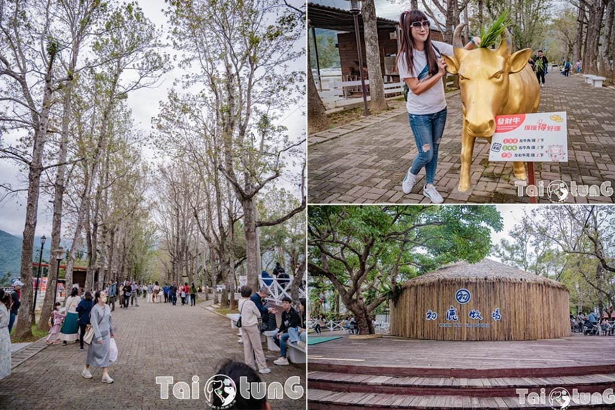 6歲以下免費入園!台東「初鹿牧場」5玩法:餵牛牛、免費玩滑草、吃牛奶冰 6歲以下免費入園!台東「初鹿牧場」5玩法:餵牛牛、免費玩滑草、吃牛奶冰