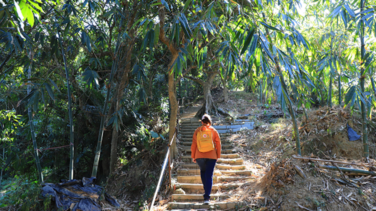 南觀音山小百岳