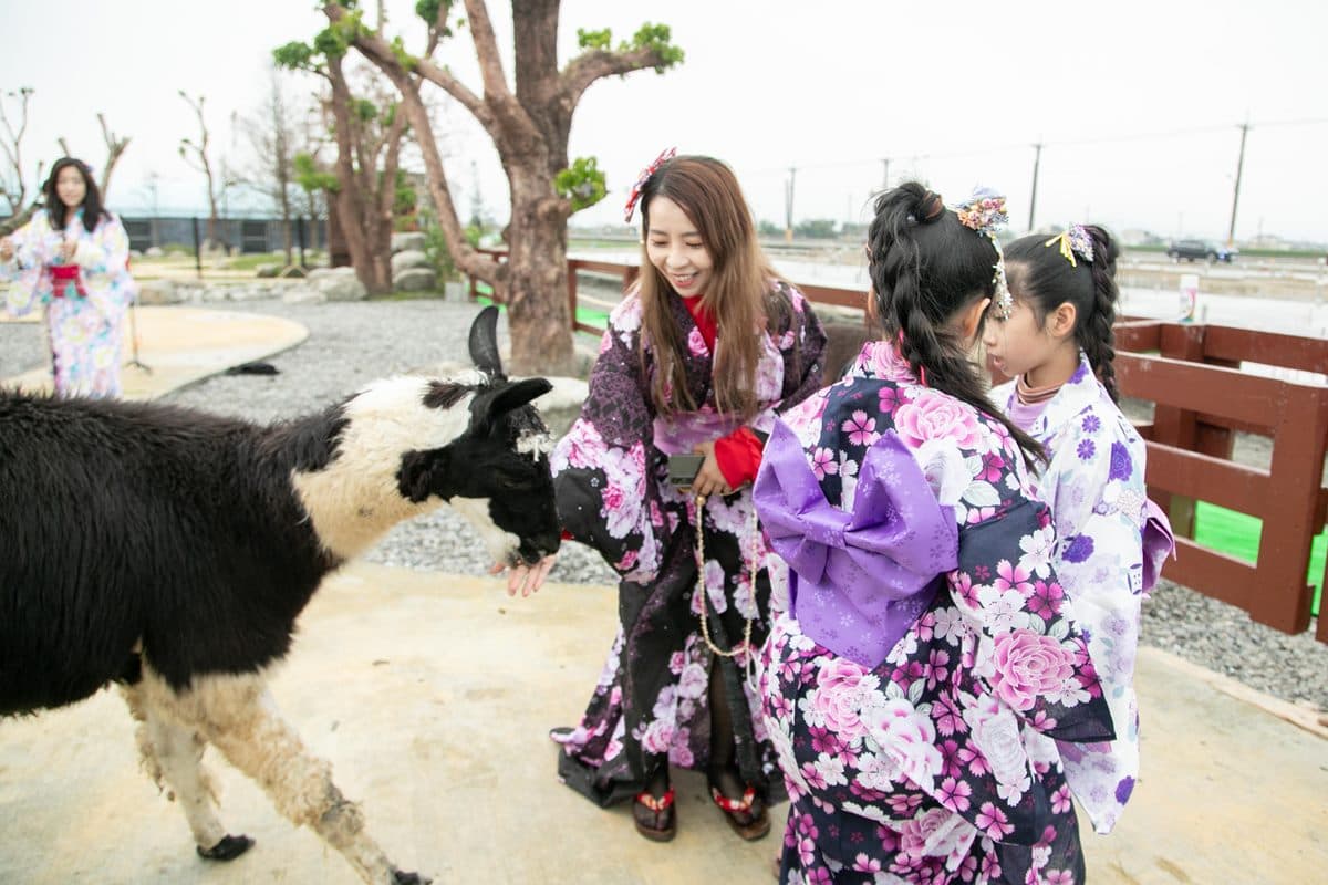 宜蘭全新破千坪動物園!對身分證「這類人」100元玩翻,唯一餵澳洲袋鼠體驗 宜蘭全新破千坪動物園!對身分證「這類人」100元玩翻,唯一餵澳洲袋鼠體驗
