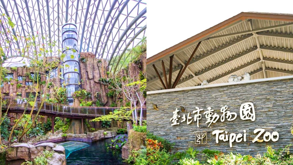 27年門票首度漲價!北市動物園「全票60元→100元」,預計「這時」啟動調漲
