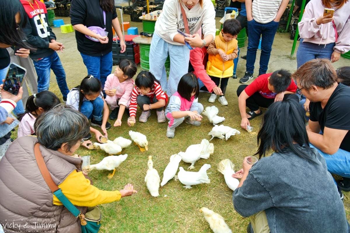50元玩整天!彰化「高CP值農場」採果、餵動物一次滿足,有趣控窯也必玩 50元玩整天!彰化「高CP值農場」採果、餵動物一次滿足,有趣控窯也必玩