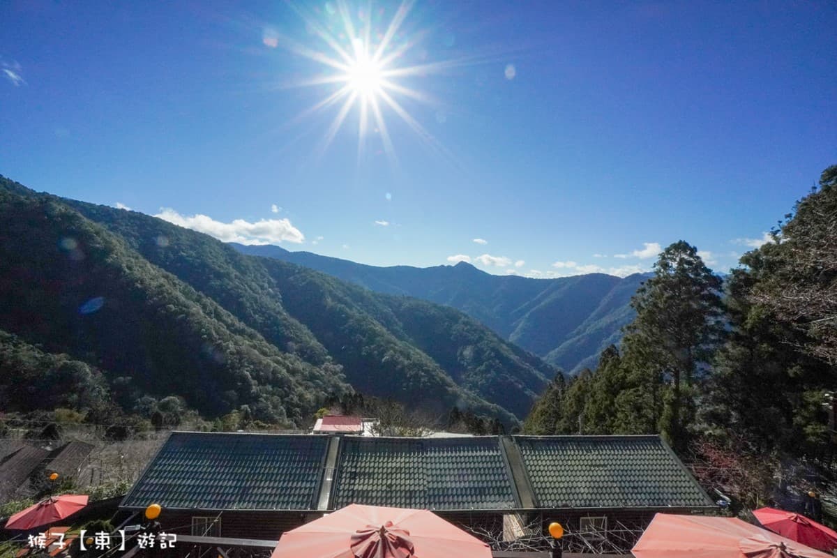 北部最大櫻花王在這!拉拉山小木屋窗景無敵,450元爽嗑專屬合菜 北部最大櫻花王在這!拉拉山小木屋窗景無敵,450元爽嗑專屬合菜
