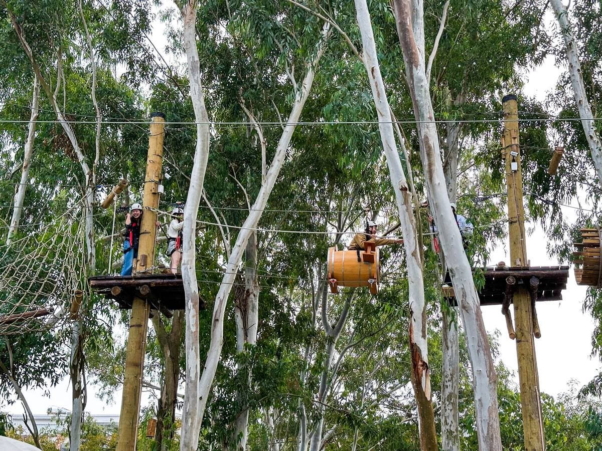 【新開店】嘉義最新「森林動物樂園」!餵軟萌笑笑羊、水豚,高空滑索超刺激 【新開店】嘉義最新「森林動物樂園」!餵軟萌笑笑羊、水豚,高空滑索超刺激