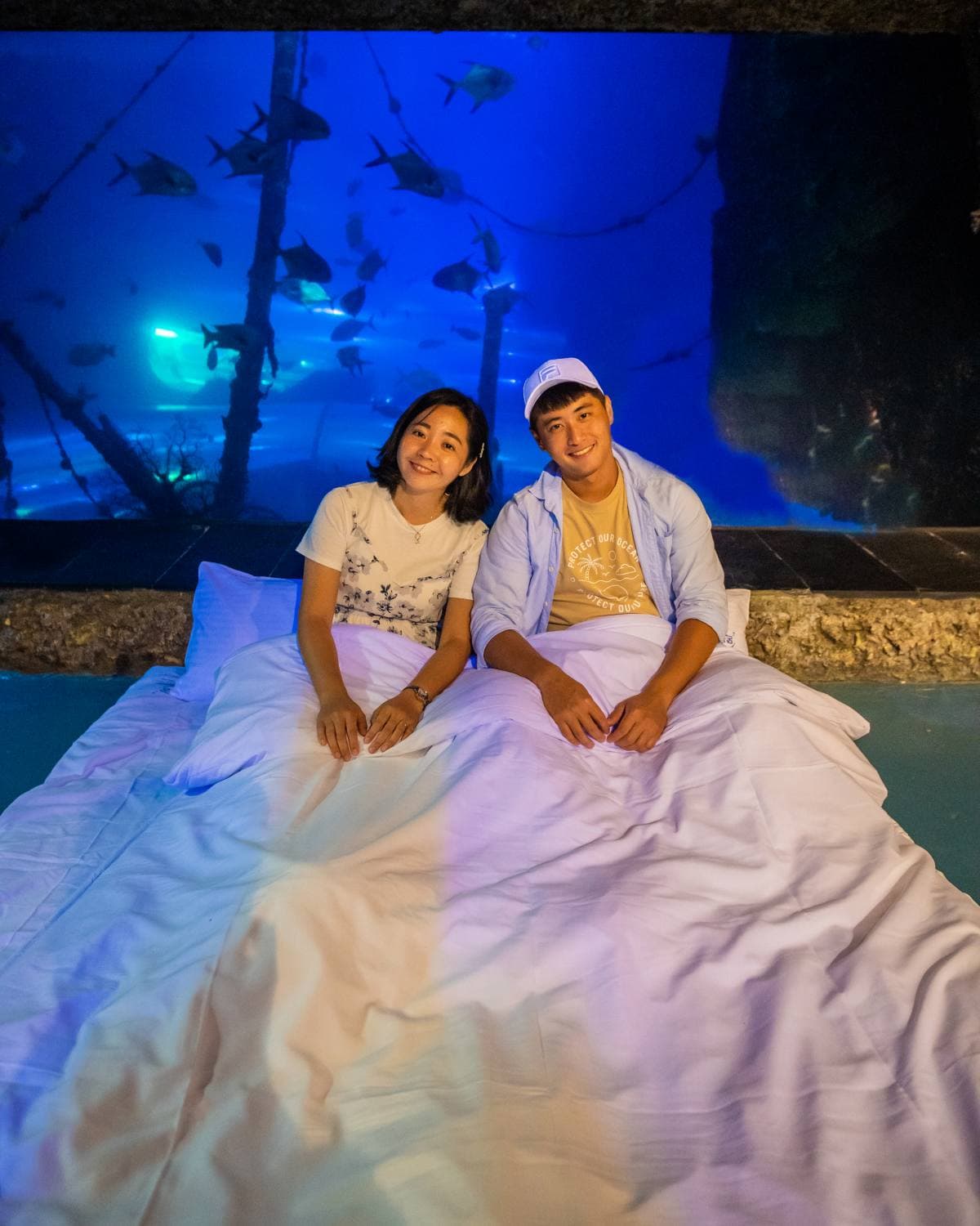 魚魚、小白鯨陪睡!2天1夜「夜宿海生館」行程:7大最美就寢區、夜間探險 魚魚、小白鯨陪睡!2天1夜「夜宿海生館」行程:7大最美就寢區、夜間探險