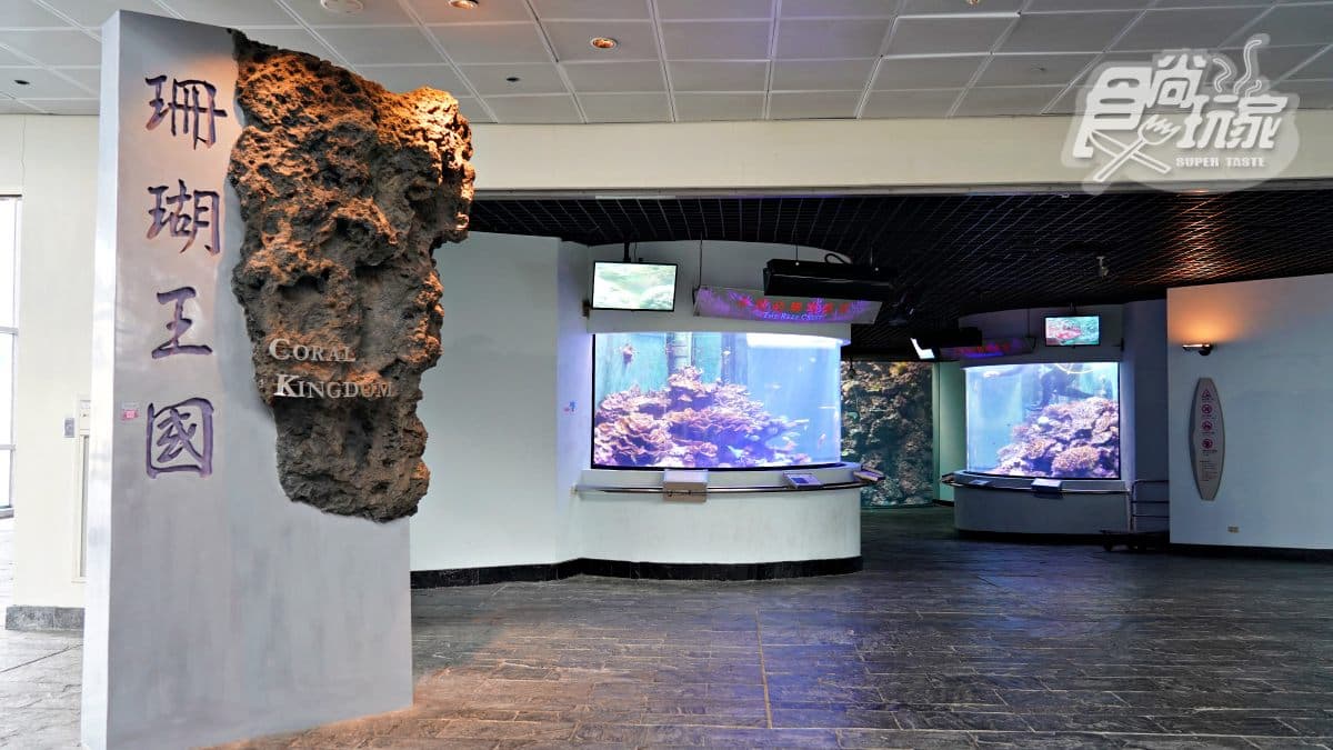 魚魚、小白鯨陪睡!2天1夜「夜宿海生館」行程:7大最美就寢區、夜間探險 魚魚、小白鯨陪睡!2天1夜「夜宿海生館」行程:7大最美就寢區、夜間探險