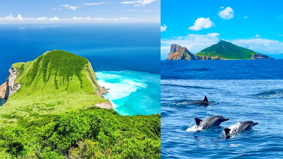 全球最酷「龜山島」限時開放!看完登島須知快搶訂,搭船賞鯨+打卡牛奶湖