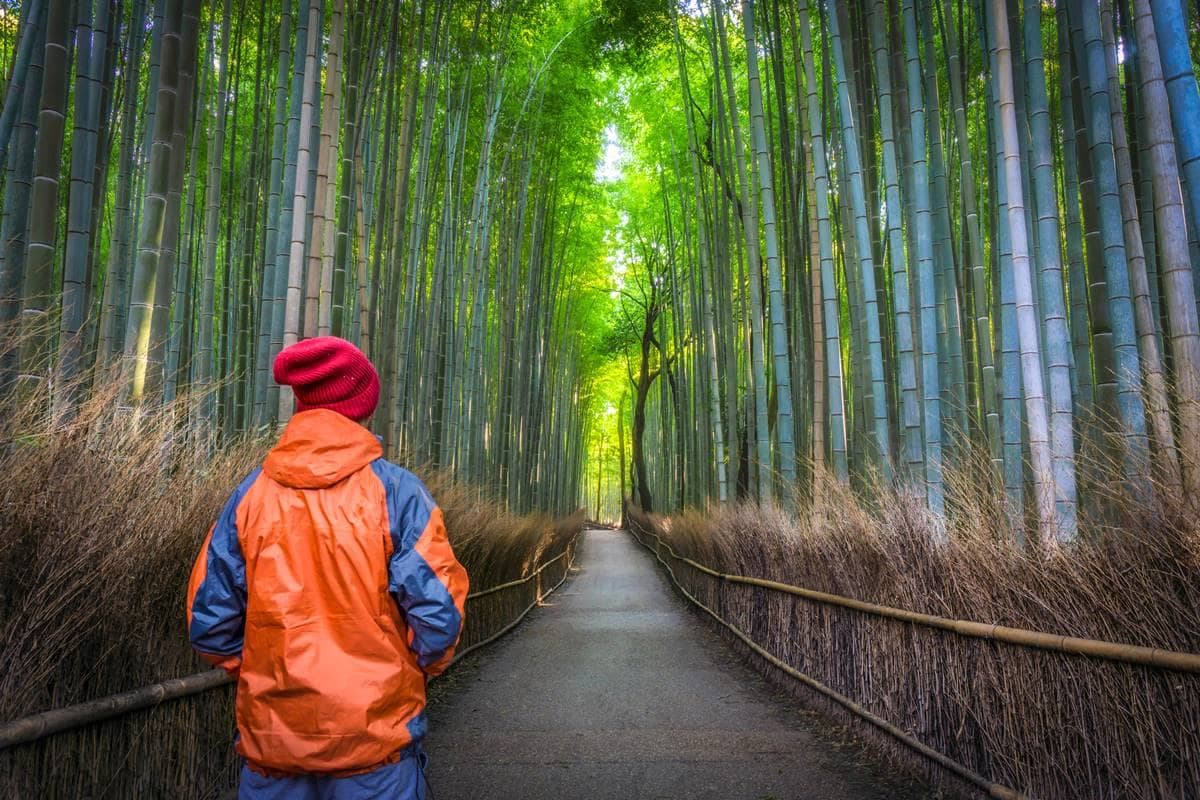 孝親不是只能跟團!帶爸媽日本自遊行9法則,出門前「這件事」一定不能忘 孝親不是只能跟團!帶爸媽日本自遊行9法則,出門前「這件事」一定不能忘