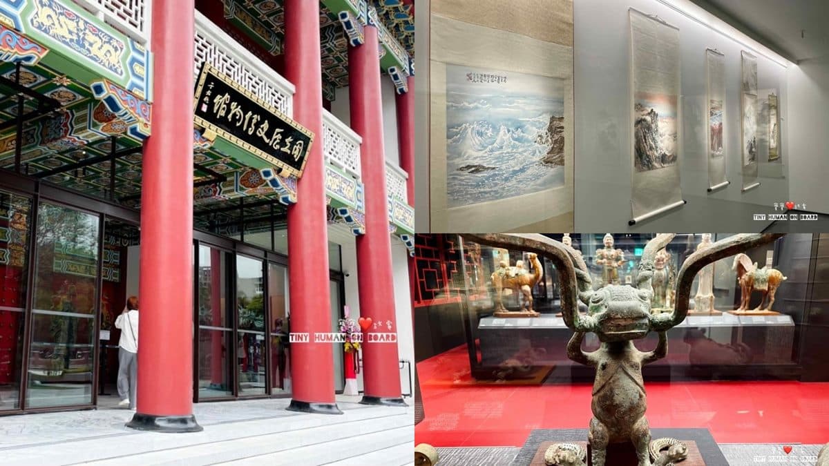 40元逛2館!台北史博館限時半價優惠,免花錢加碼玩「隱藏版室內樂園」 40元逛2館!台北史博館限時半價優惠,免花錢加碼玩「隱藏版室內樂園」