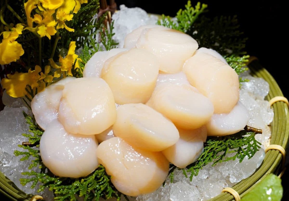 【獨家】免費送頂級干貝!「火鍋吃到飽霸主」150款食材+和牛任吃,肉控快衝 【獨家】免費送頂級干貝!「火鍋吃到飽霸主」150款食材+和牛任吃,肉控快衝