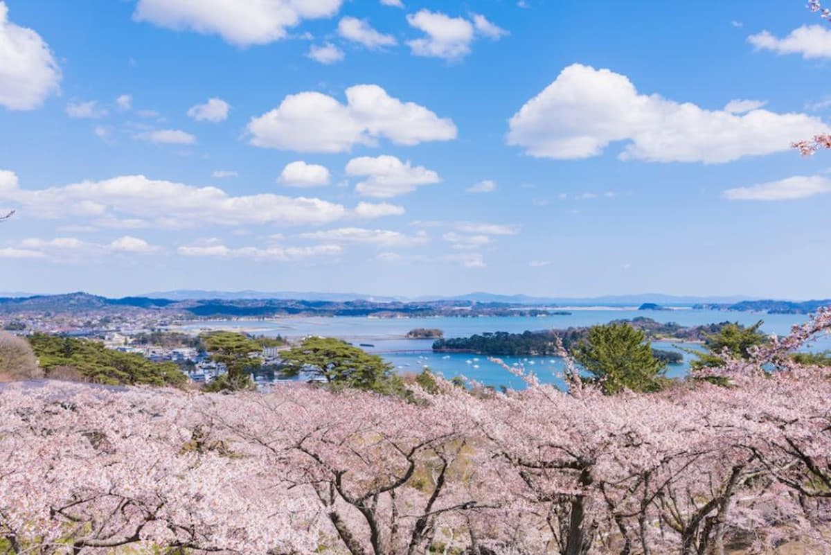 日本清倉票來回免萬元!機加酒10800起,還有國泰機票75折送上網卡 日本清倉票來回免萬元!機加酒10800起,還有國泰機票75折送上網卡