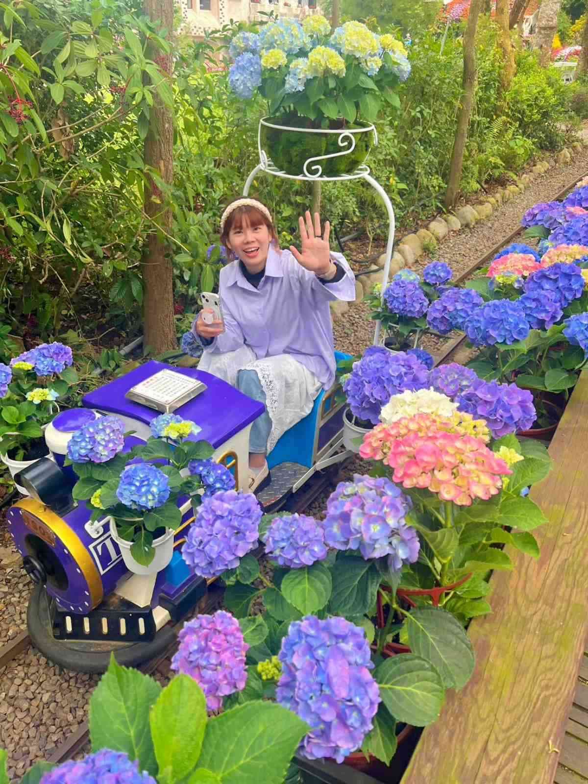 全台唯一「繡球花小火車」!免走路搶拍繽紛花海,再吃暴紅「繡球花霜淇淋」 全台唯一「繡球花小火車」!免走路搶拍繽紛花海,再吃暴紅「繡球花霜淇淋」
