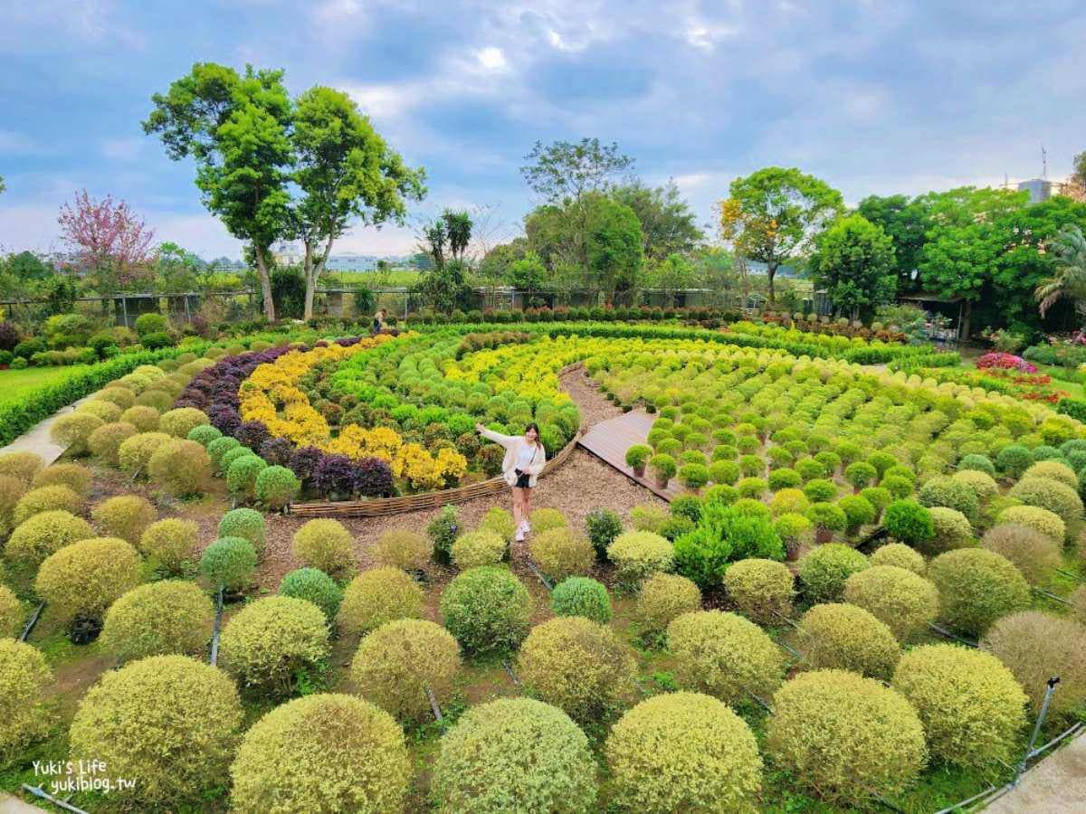 全台唯一「繡球花小火車」!免走路搶拍繽紛花海,再吃暴紅「繡球花霜淇淋」 全台唯一「繡球花小火車」!免走路搶拍繽紛花海,再吃暴紅「繡球花霜淇淋」