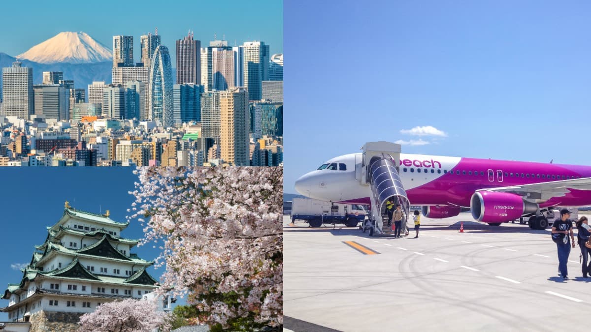 飛日本來回含稅免6200元!樂桃航空限時特賣,明晚「這時」開搶快設鬧鐘