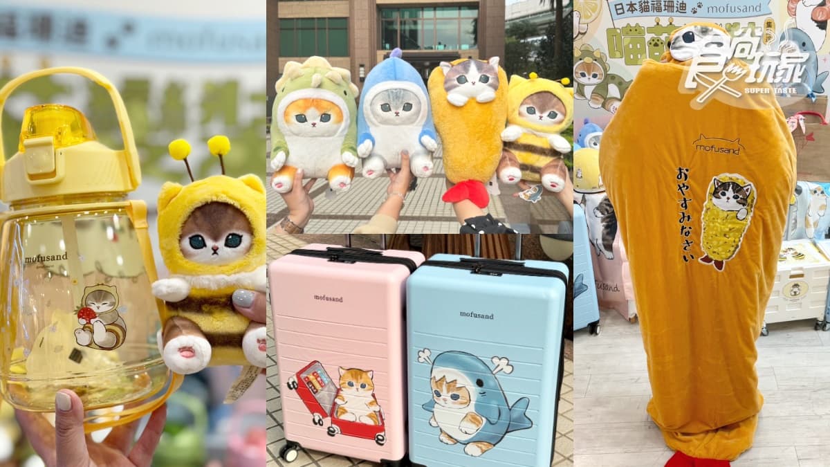 炸蝦、鯊魚貓新朋友!7-11最Q「貓福珊迪」集點40款:圓滾滾玩偶、炸蝦睡袋