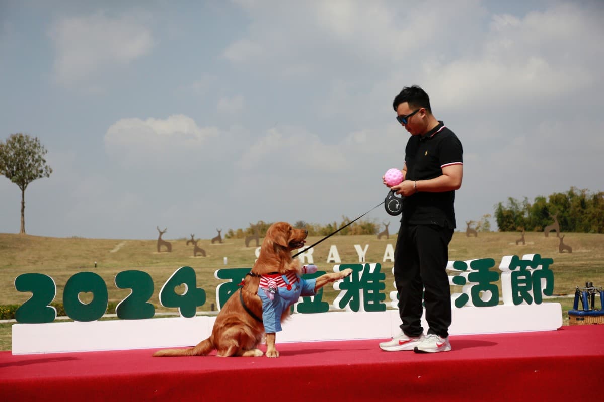 台南熱氣球嘉年華「這2天」登場!賞喔熊氣球、限定光雕秀,加碼逛週末市集 台南熱氣球嘉年華「這2天」登場!賞喔熊氣球、限定光雕秀,加碼逛週末市集