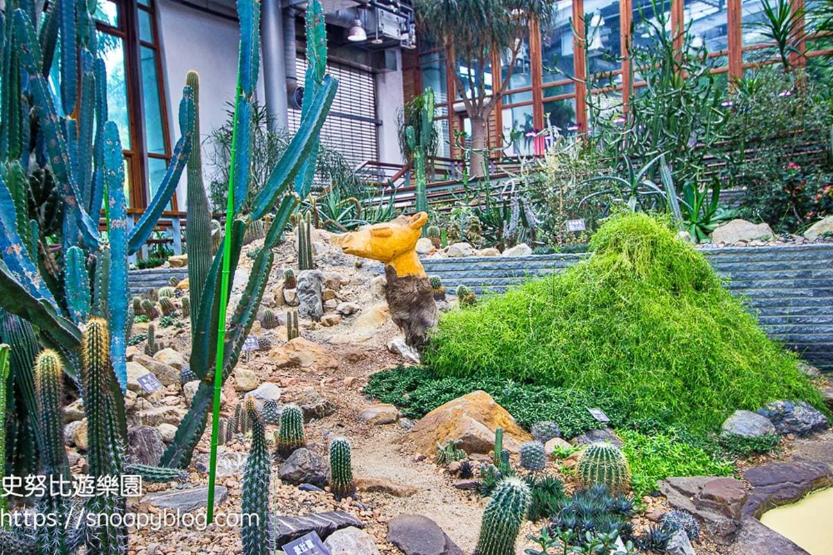 免費拍爆「台北室內小森林」!典藏逾500種花草、多肉盆栽,還有超萌山丘駱駝 免費拍爆「台北室內小森林」!典藏逾500種花草、多肉盆栽,還有超萌山丘駱駝