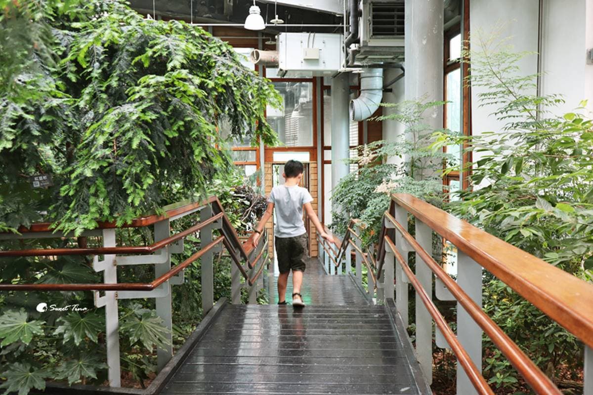 免費拍爆「台北室內小森林」!典藏逾500種花草、多肉盆栽,還有超萌山丘駱駝 免費拍爆「台北室內小森林」!典藏逾500種花草、多肉盆栽,還有超萌山丘駱駝