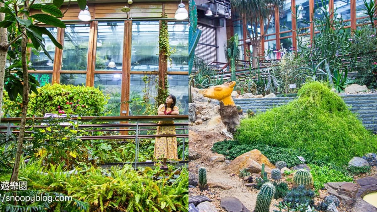 免費拍爆「台北室內小森林」!典藏逾500種花草、多肉盆栽,還有超萌山丘駱駝