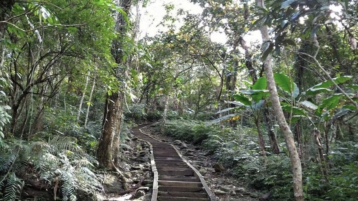 池南國家森林遊樂區