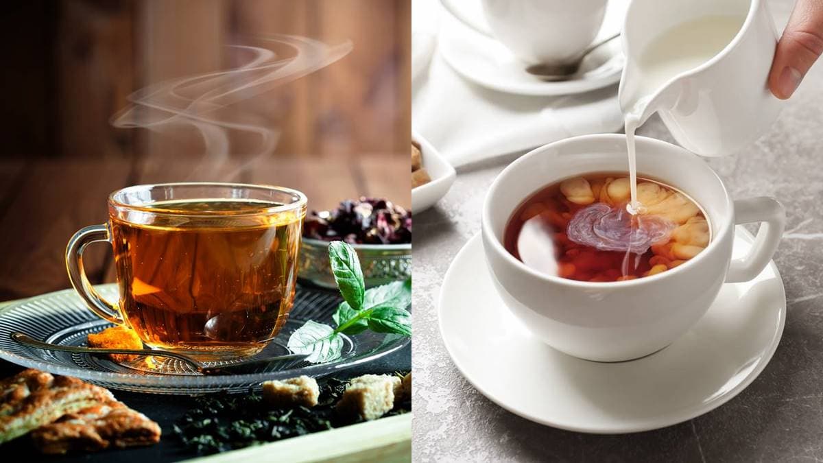 紅茶VS咖啡誰的咖啡因多?南非國寶茶竟然「不是茶」?紅茶知識大蒐祕