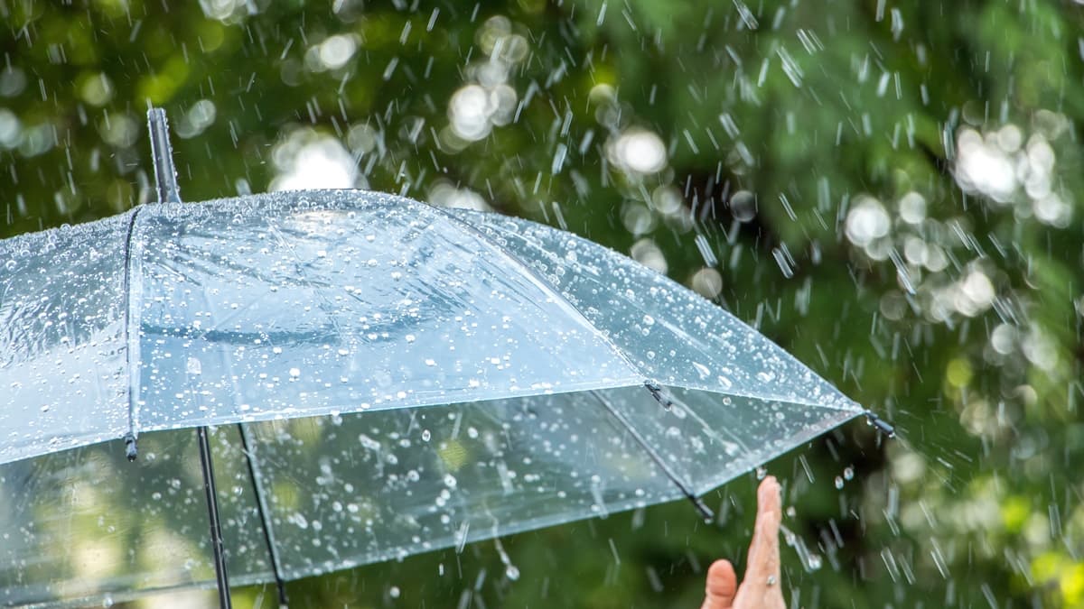 4/19「穀雨」小心7禁忌!誤觸下場恐不可逆,命理專家曝1招開財運