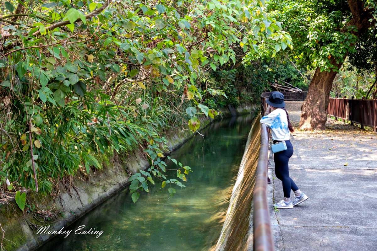 2026最強台中景點TOP39!台中半日景點,市區、戶外、親子景點推薦 2026最強台中景點TOP39!台中半日景點,市區、戶外、親子景點推薦