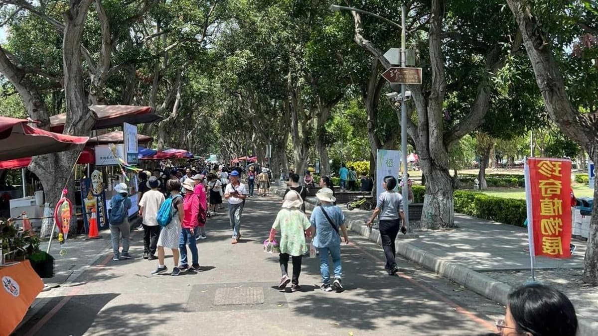 中部1市集假日爆多人潮!節目名主持人一逛大讚:像日本的呼子朝市