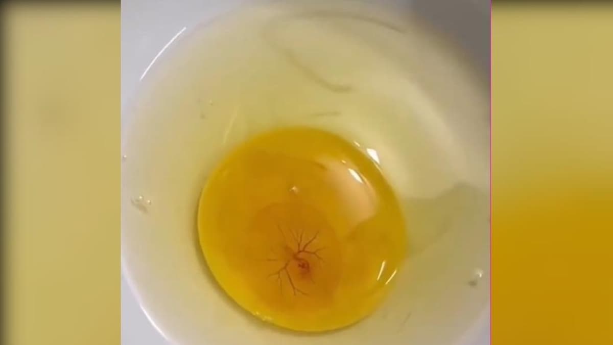 他打蛋進碗裡驚見蛋黃有小心臟在跳!內行人曝1招「無殼孵蛋」急喊:還有救 他打蛋進碗裡驚見蛋黃有小心臟在跳!內行人曝1招「無殼孵蛋」急喊:還有救