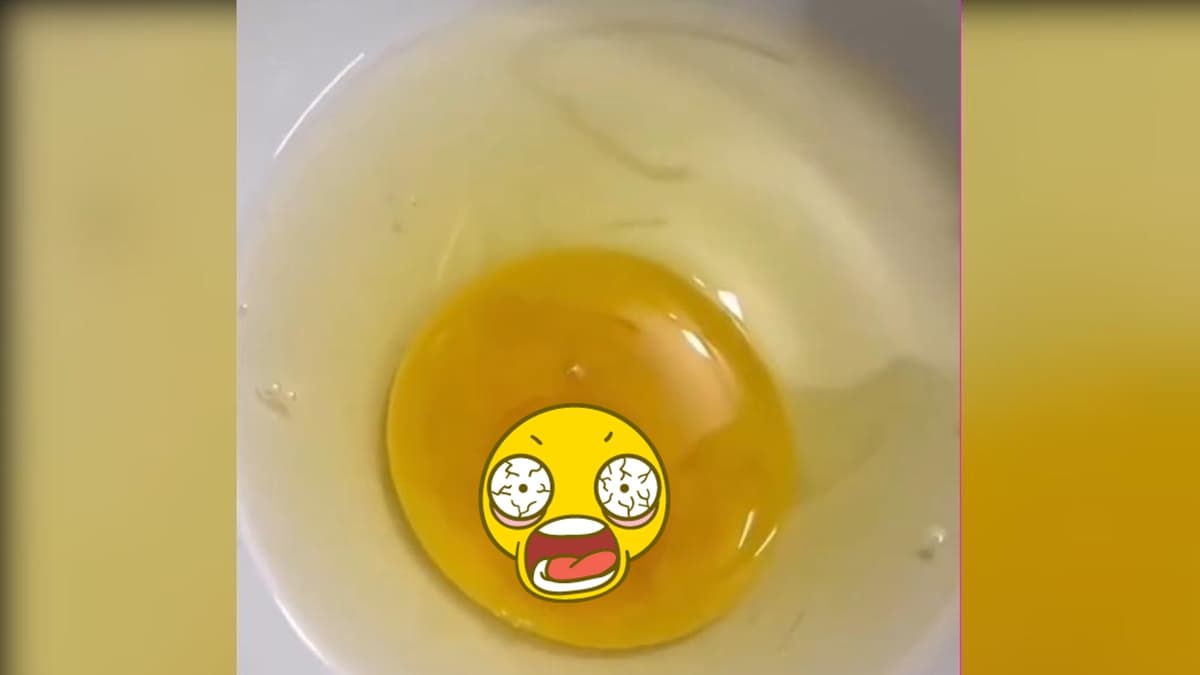 他打蛋進碗裡驚見蛋黃有小心臟在跳!內行人曝1招「無殼孵蛋」急喊:還有救