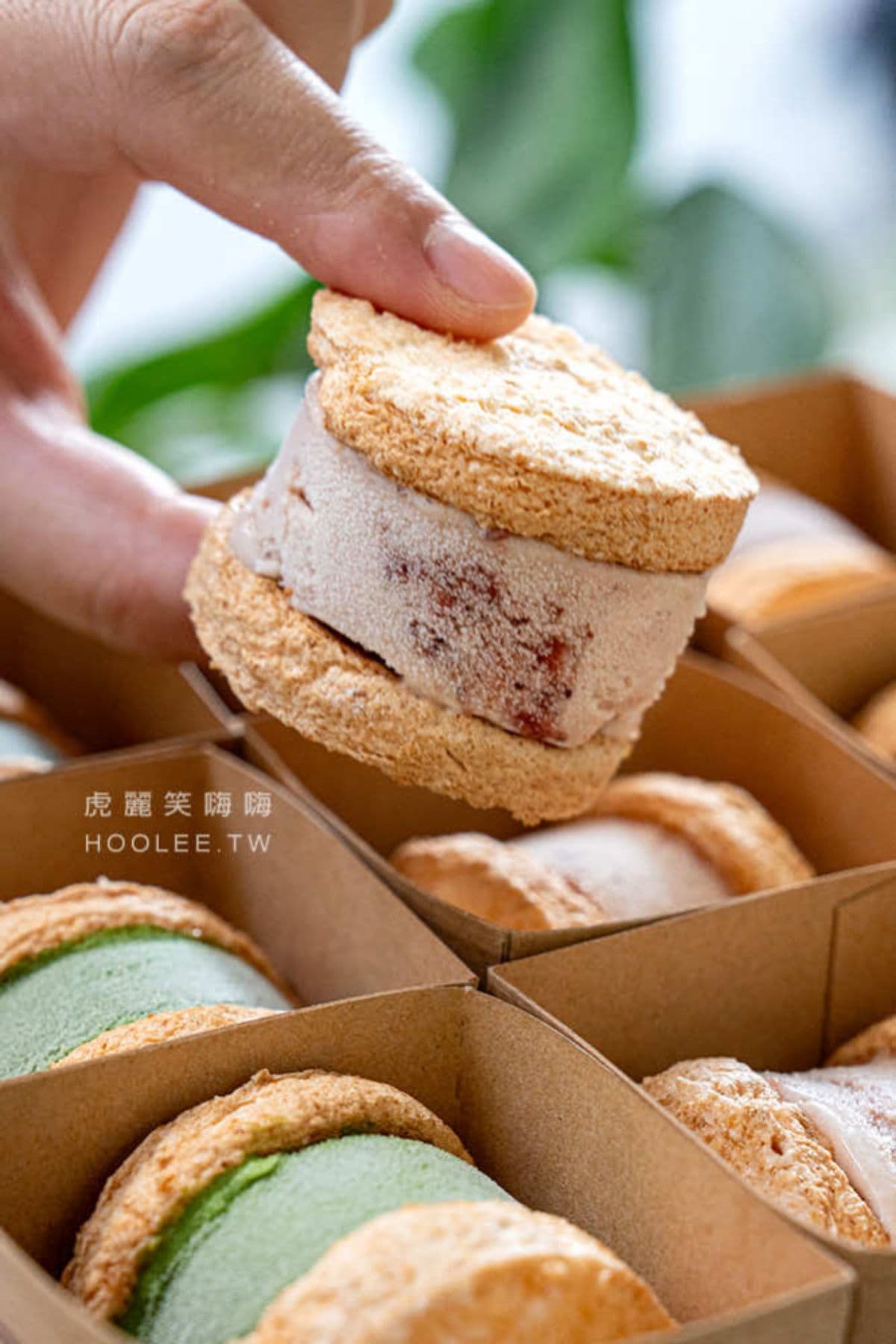 萌到捨不得吃!超Q「脆皮小熊泡芙」藏巷弄,糖粒酥皮+奶油卡士達療癒滿分 萌到捨不得吃!超Q「脆皮小熊泡芙」藏巷弄,糖粒酥皮+奶油卡士達療癒滿分