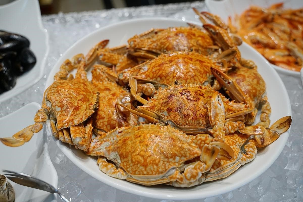 台北隱藏版「千元有找」飯店吃到飽!升級牛排、生蠔無限點,還有火鍋放題 台北隱藏版「千元有找」飯店吃到飽!升級牛排、生蠔無限點,還有火鍋放題