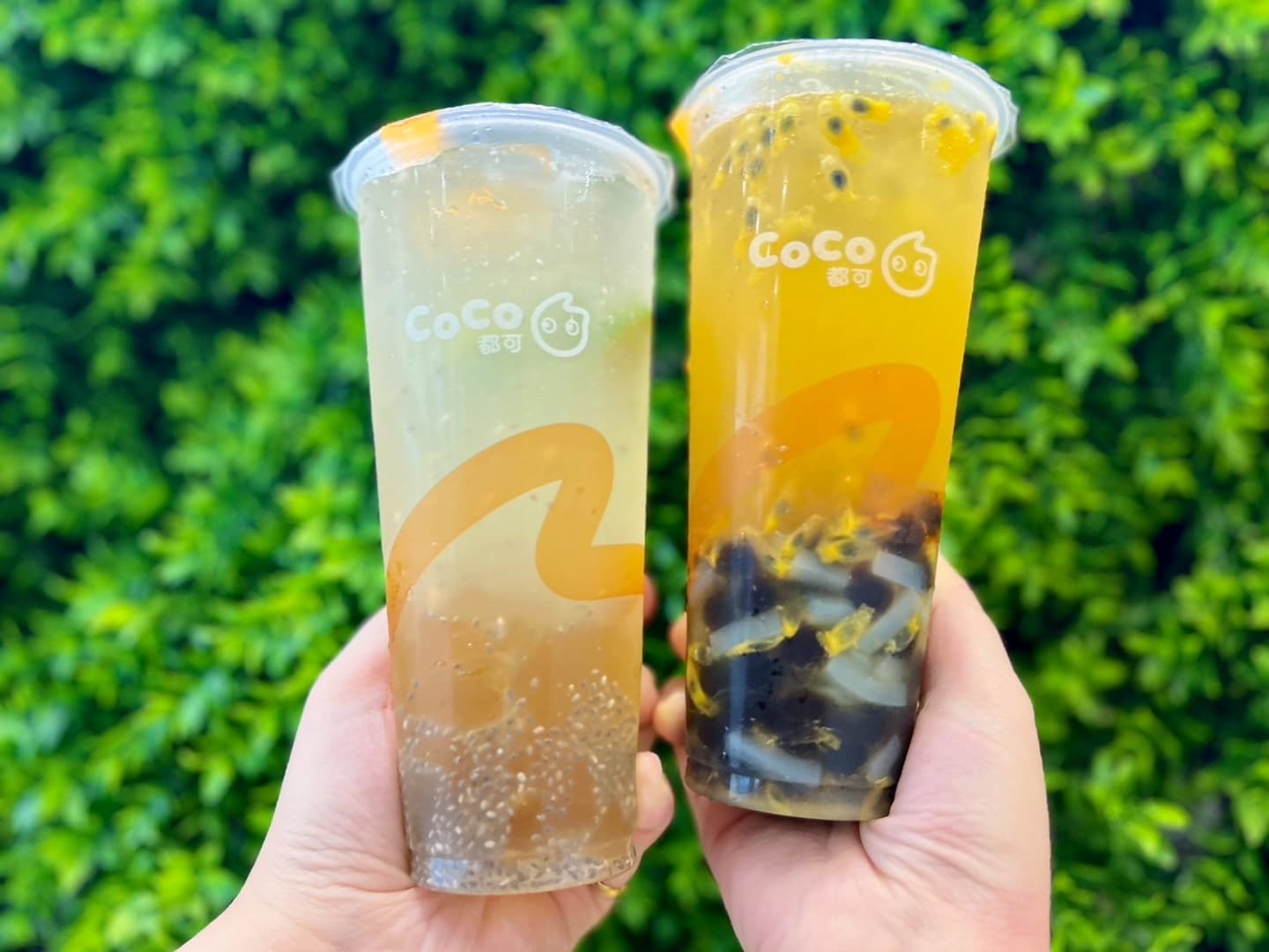 松葉蟹吃到飽!母親節優惠最強42家:媽媽幾歲送幾隻蝦、對名字免費嗑帝王蟹 松葉蟹吃到飽!母親節優惠最強42家:媽媽幾歲送幾隻蝦、對名字免費嗑帝王蟹