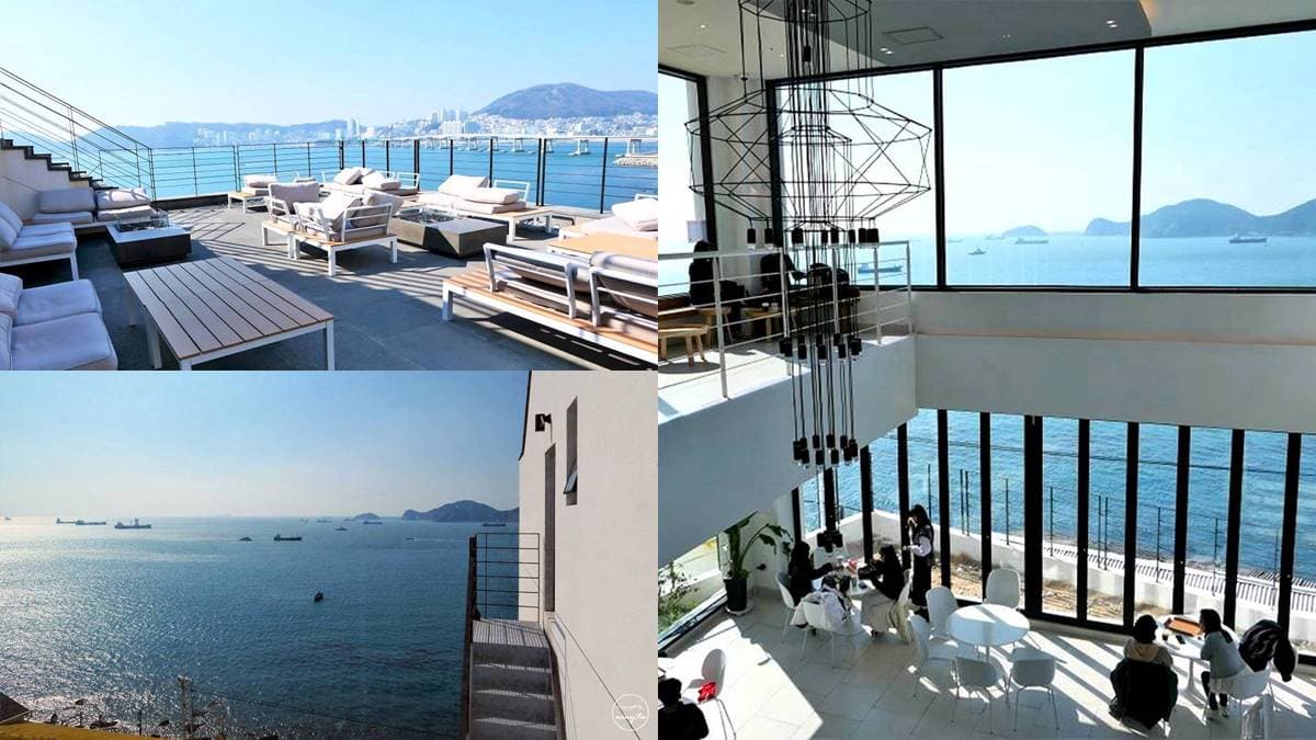 360度無死角海景!面海第一排「玻璃屋咖啡廳」,絕美露臺將南港大橋收眼底