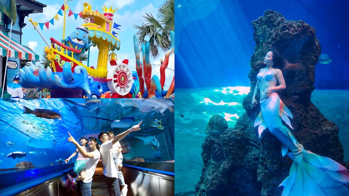 花蓮海洋公園「這天」回歸!3大優惠亮點:6月壽星免費、限時4天買一送一