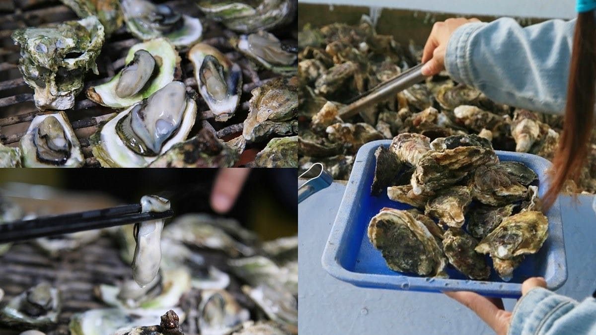 1人只要600元!牡蠣海鮮粥吃到飽、卡拉OK、海釣玩到飽,網路預訂再打85折 1人只要600元!牡蠣海鮮粥吃到飽、卡拉OK、海釣玩到飽,網路預訂再打85折