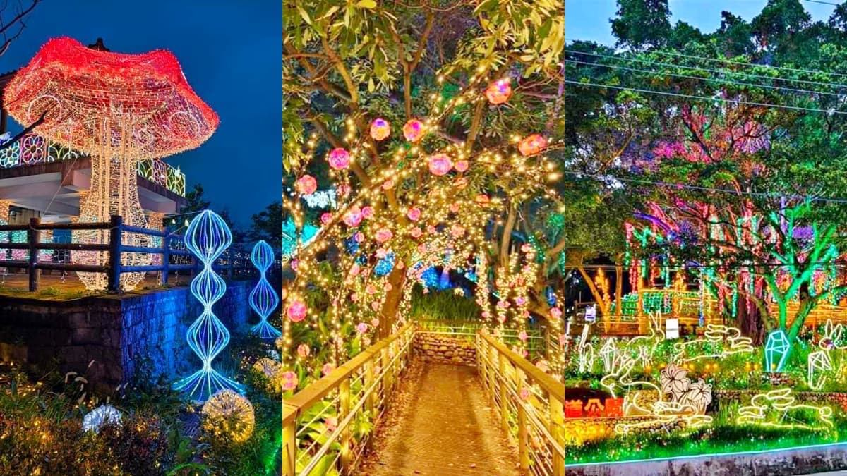 「桃園最美夜景步道」搶先點燈!燈球廊道、精靈樹免費拍爆,順逛小農市集